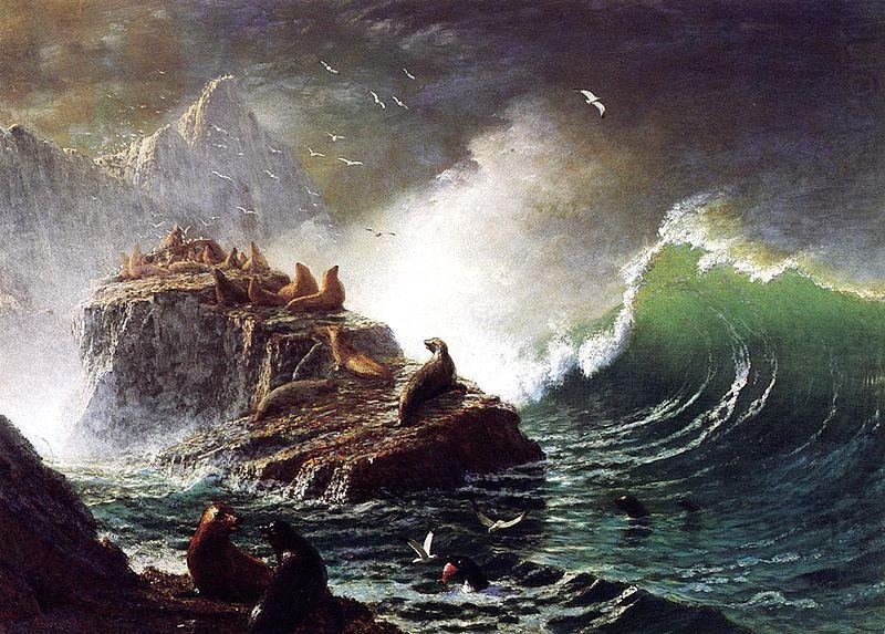 Seals on the Rocks, Farallon Islands, Albert Bierstadt